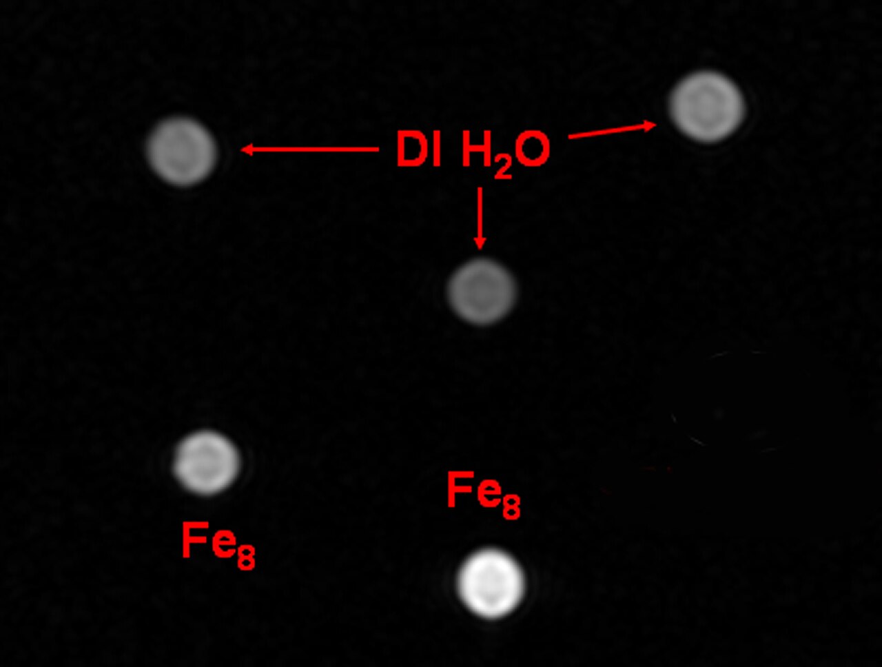 NIST studies show that molecular nanomagnets create concentration-dependent contrast in magnetic resonance imaging (MRI). This test image shows what happens when nanomagnets are used to alter the nuclear properties of hydrogen in water, inc