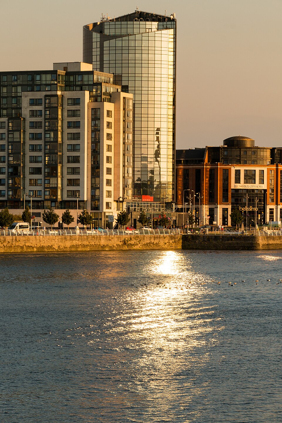 Limerick city view