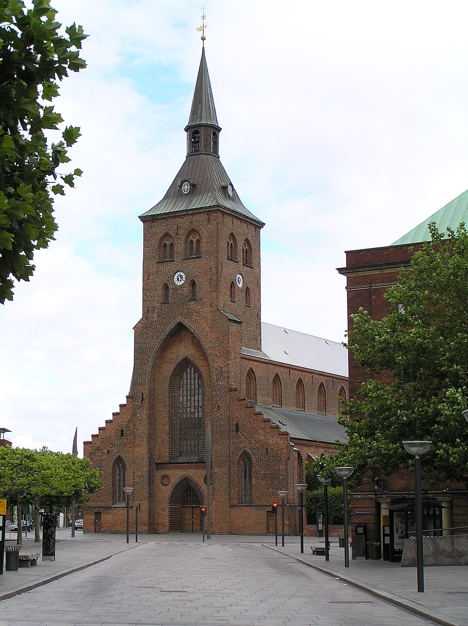 Odense city view