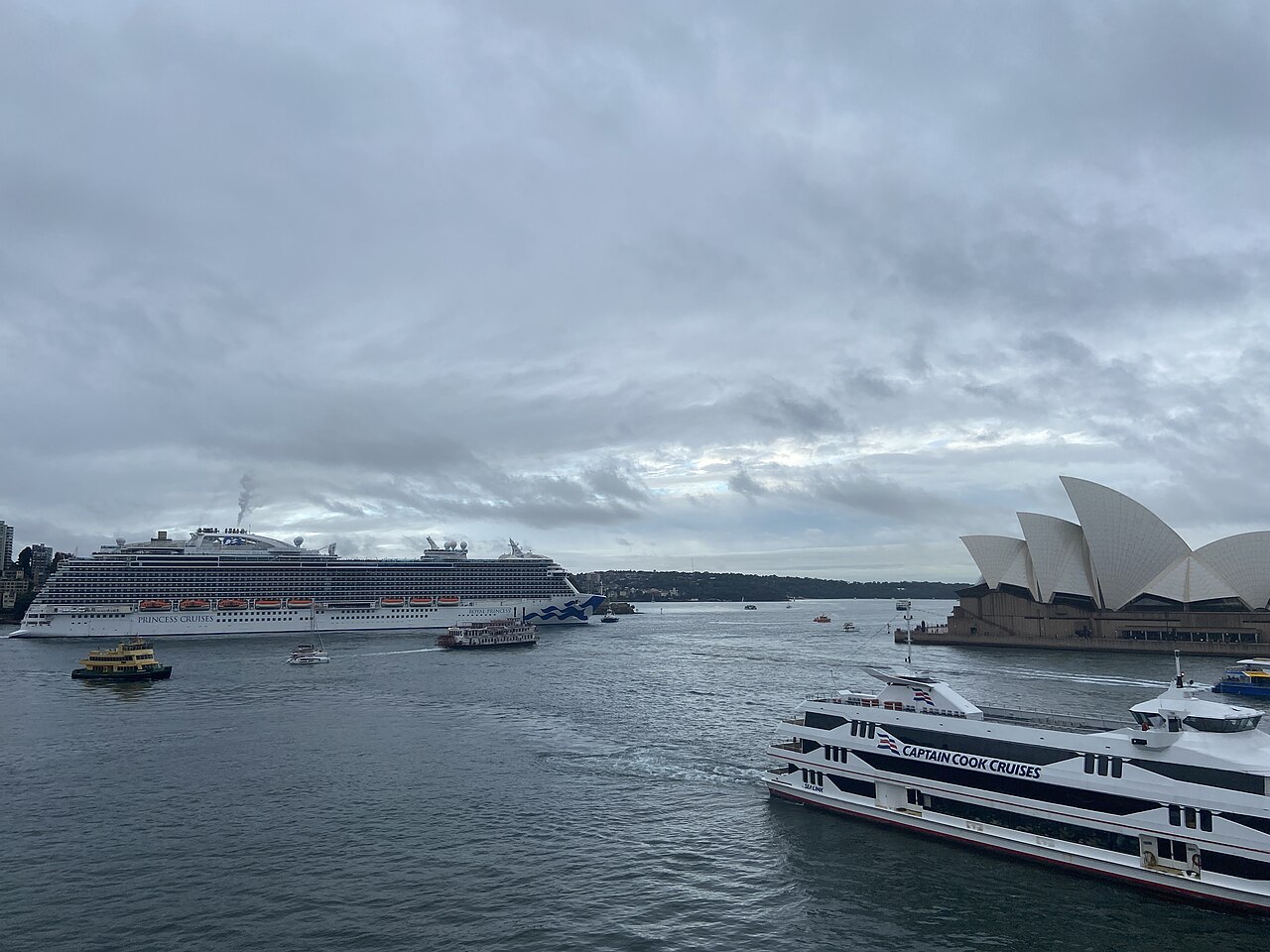 Photo of the Royal Princess ship in Sydney Harbour on the 29th of March, 2025