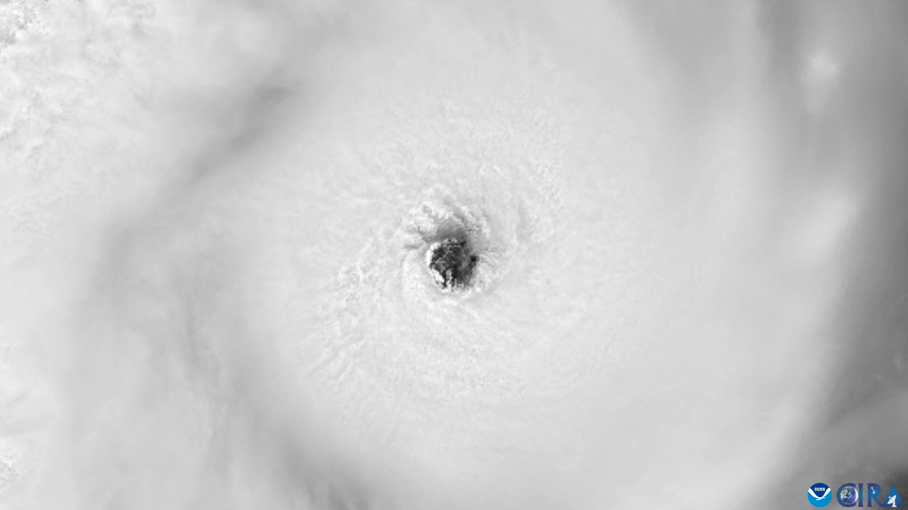 High-resolution imagery of Tropical Cyclone Dudzai and its central eye.