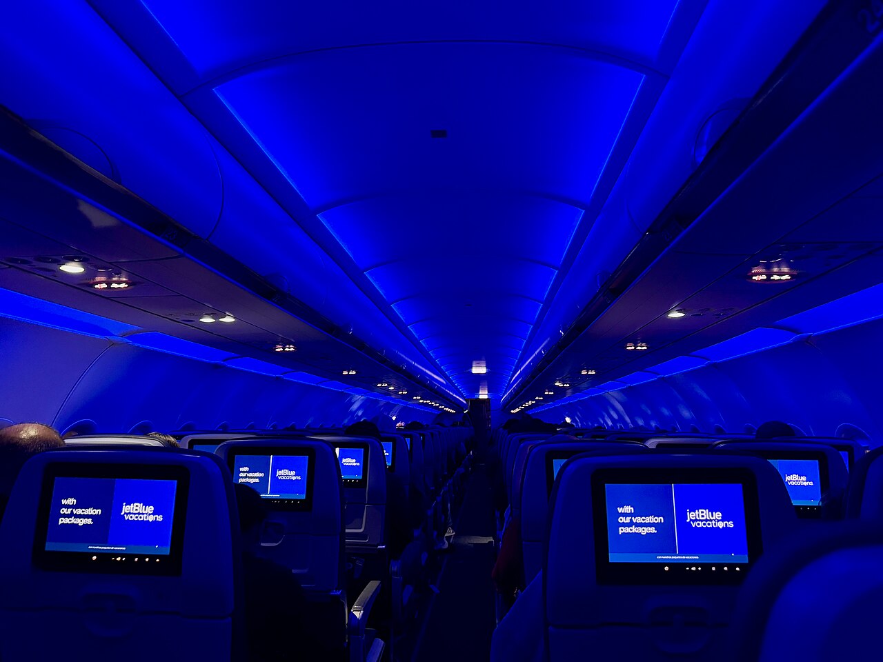 Blue interior of a JetBlue airplane