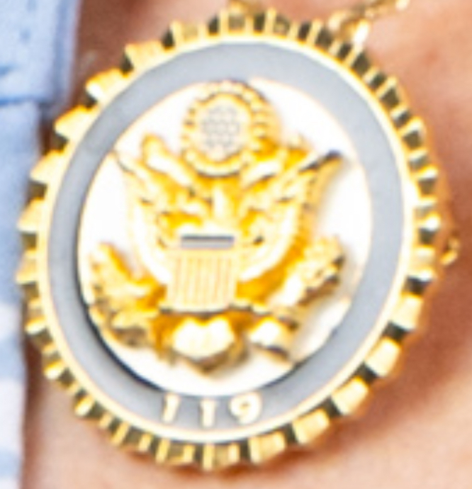 Lapel pin for the 119th United States Congress